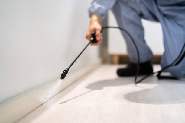 Licensed Pest Control service in Howland Center, OH - Show Me Pest Control