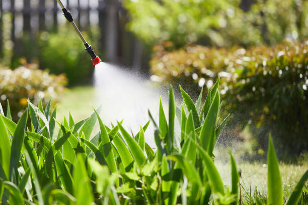 24/7 Emergency Mosquito Control experts in Howland Center, OH